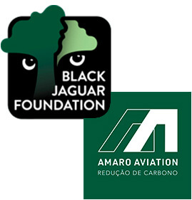 Black Jaguar Foundation - Amaro Aviation